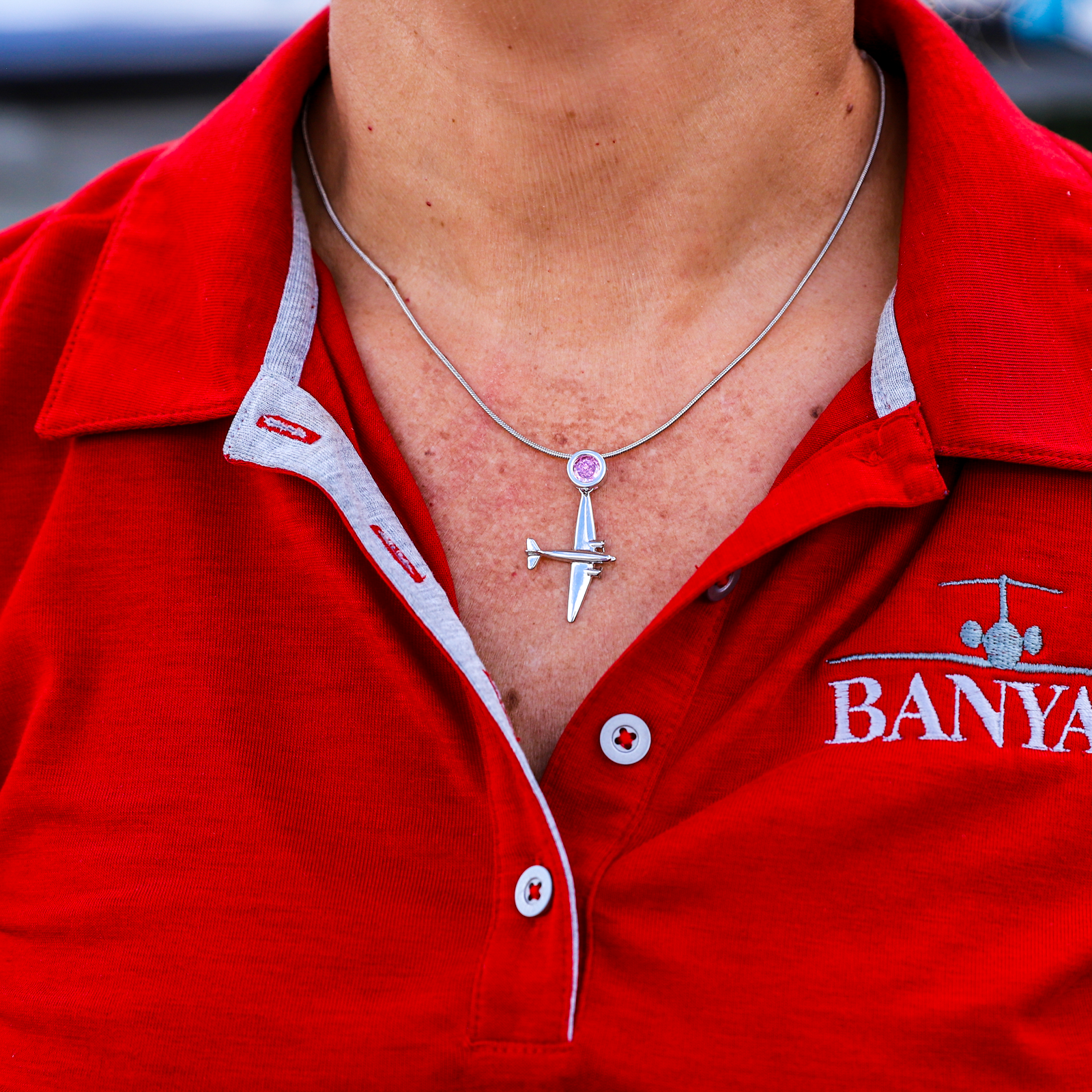 Jewel &amp; Airplane Necklace image 0