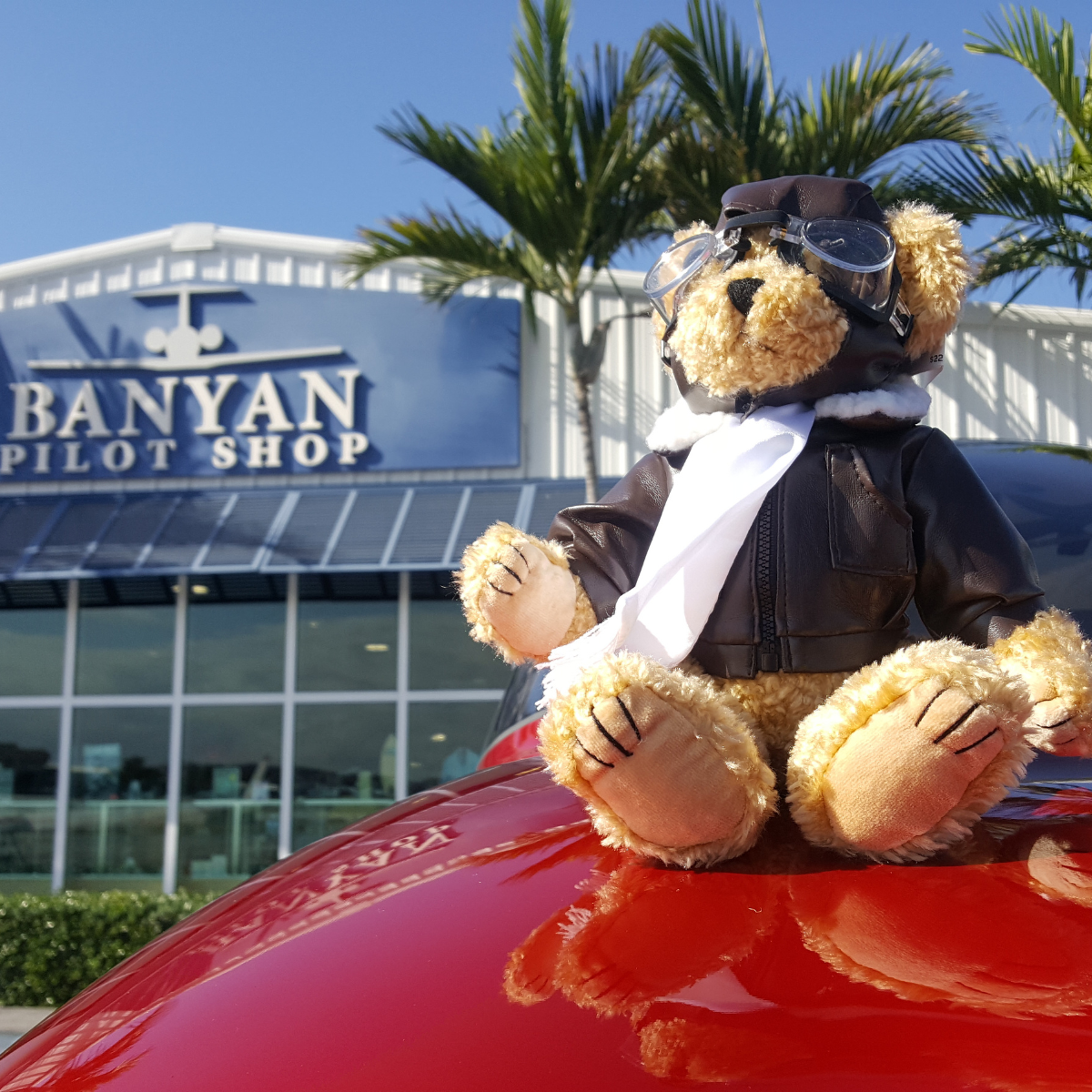 Plush Pilot Bear 14" image 2