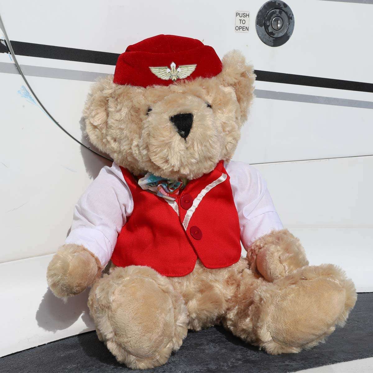 Teddy Bear Attendant image 0