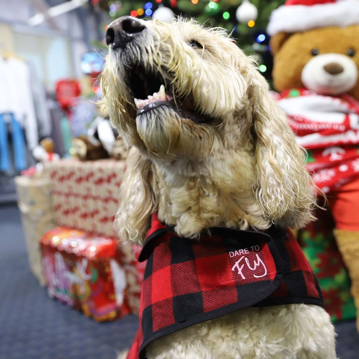 Red Buffalo Aviation Dog Coat image 1