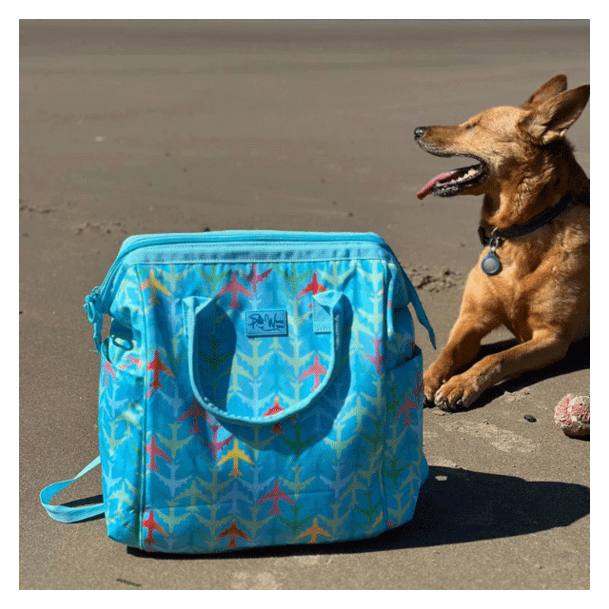 Backpack Cooler � Portable Insulated Cooler Bag for Travel & Outdoor Adventures image 4