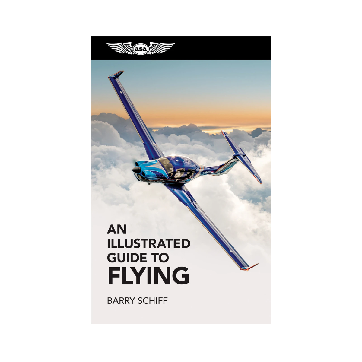 An Illustrated Guide to Flying