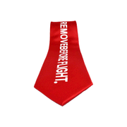 Remove Before Flight Tie image 0