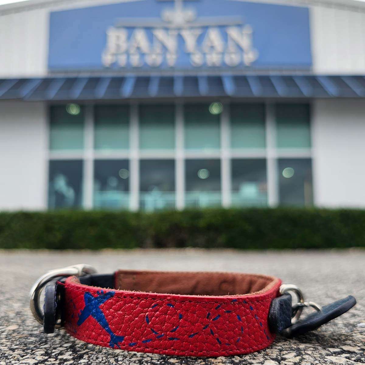 VALKI Leather Small Dog Collar image 0