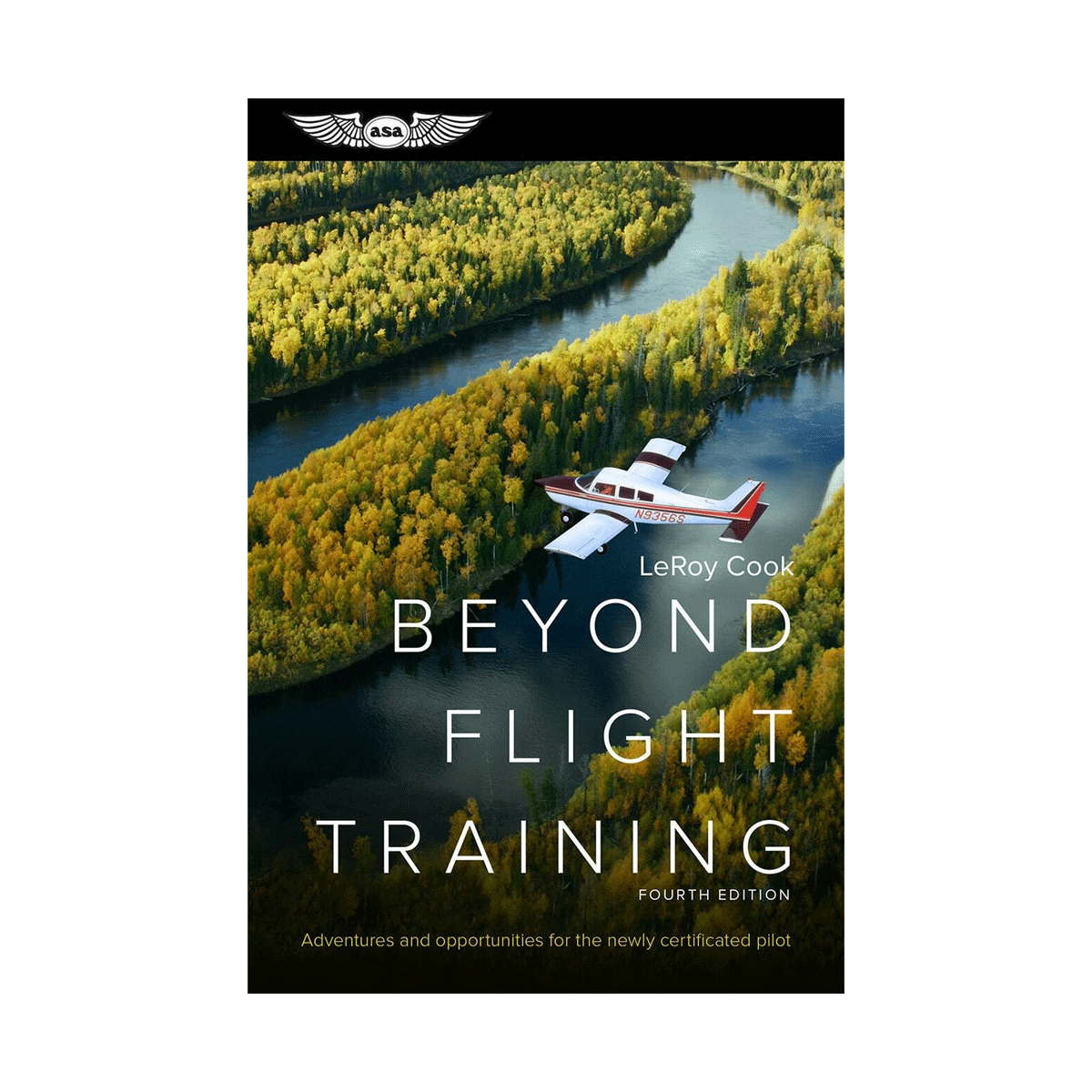 Beyond Flight Training (4th Edition) by LeRoy Cook image 1